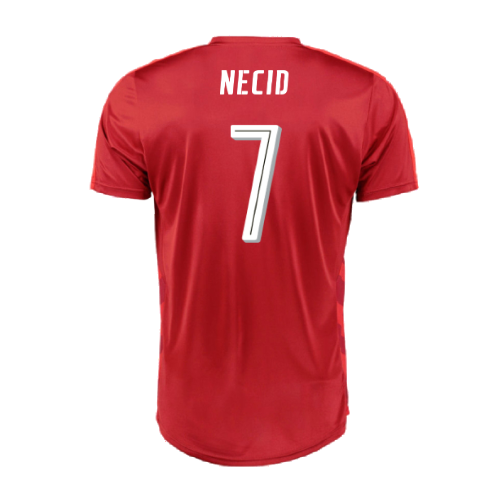 Czech Republic 2016-17 Home Shirt (XL) (Good) (Necid 7)_1