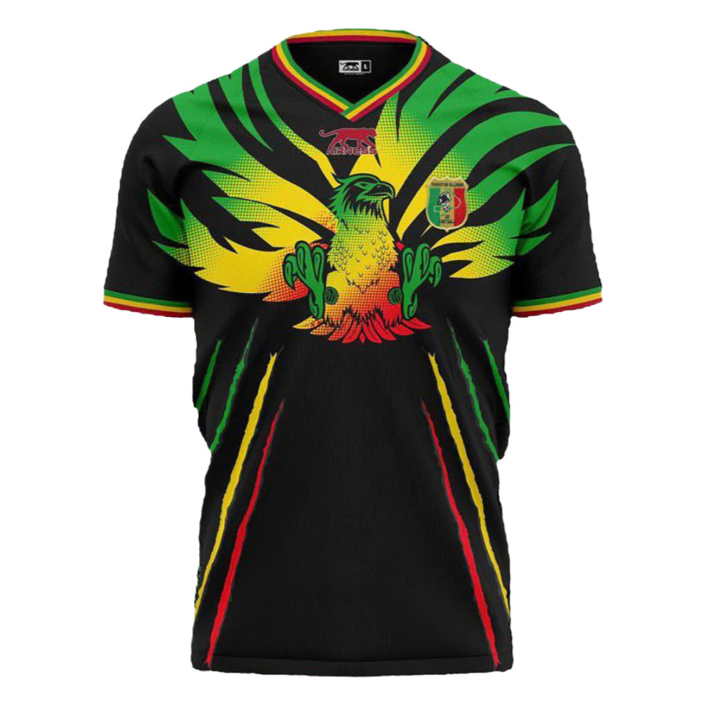 Mali 2023-24 Third Shirt (L) (Excellent)_0