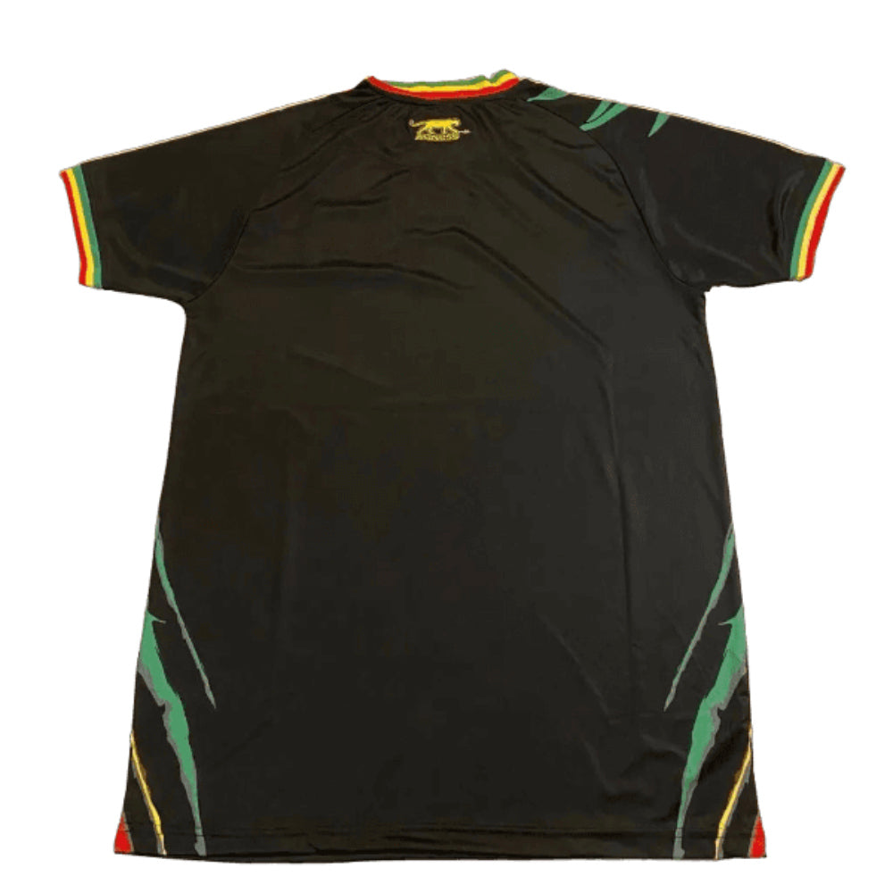 Mali 2023-24 Third Shirt (L) (Excellent)_1